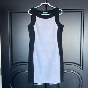 Calvin Klein black and white dress.